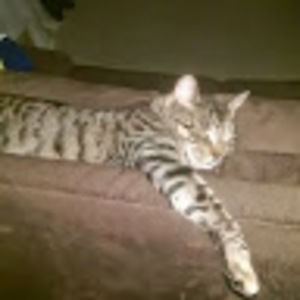 Meet your Posher, Stacy